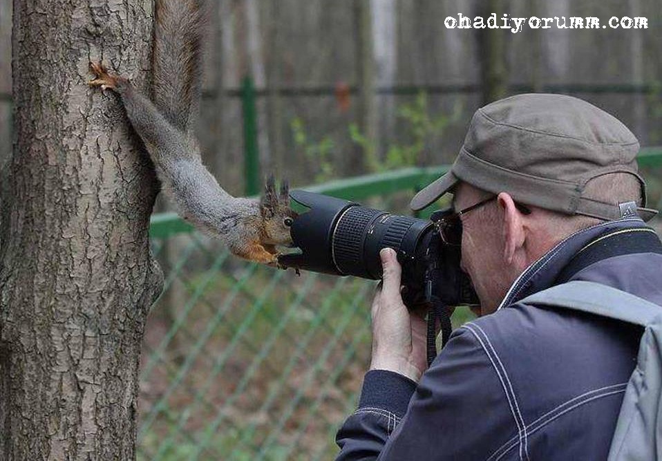 Güzel bir fotoğraf