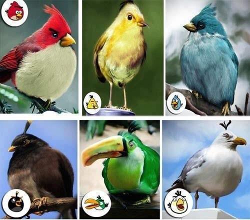 Angry Birds Kuşları