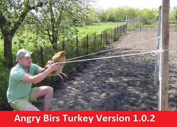 Angry Birds Turkey Version