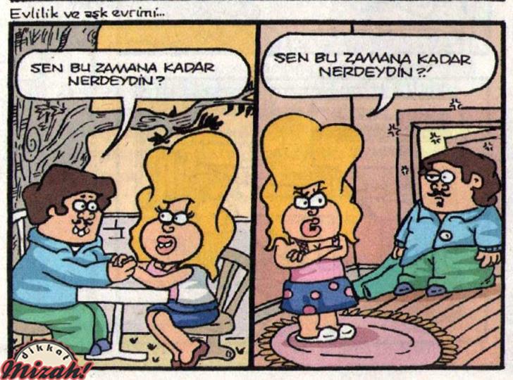 Evlilik ve evrim