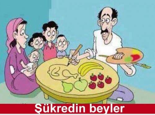 Şükredin