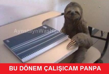 Bu dönem çalışıcam