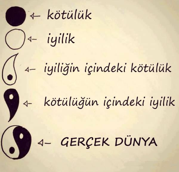 Gerçek dünya