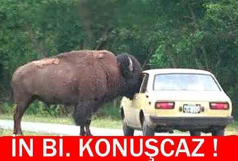 Konuşcaz