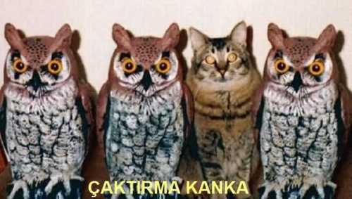 Çaktırma