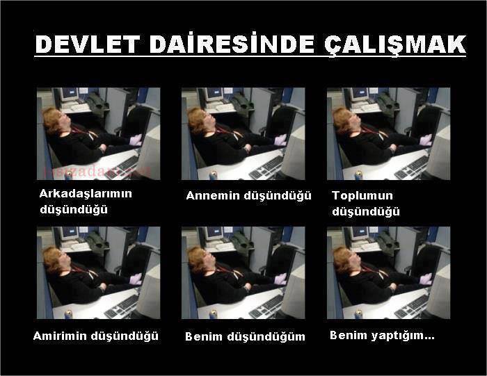 Devlet dairesinde çalışmak