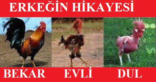 Erkeğin Hikayesi