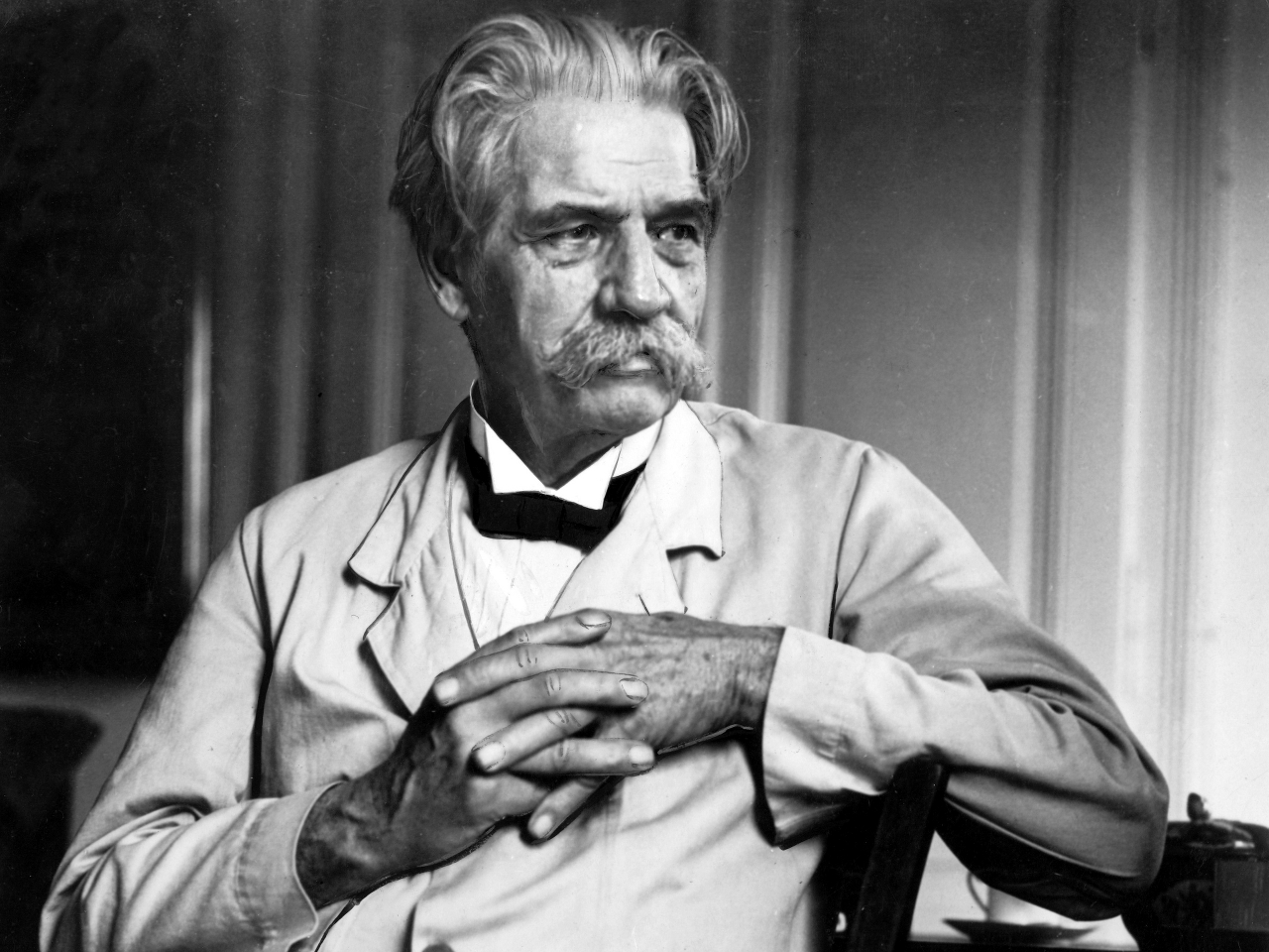 Albert Schweitzer Resim Albert Schweitzer Resim