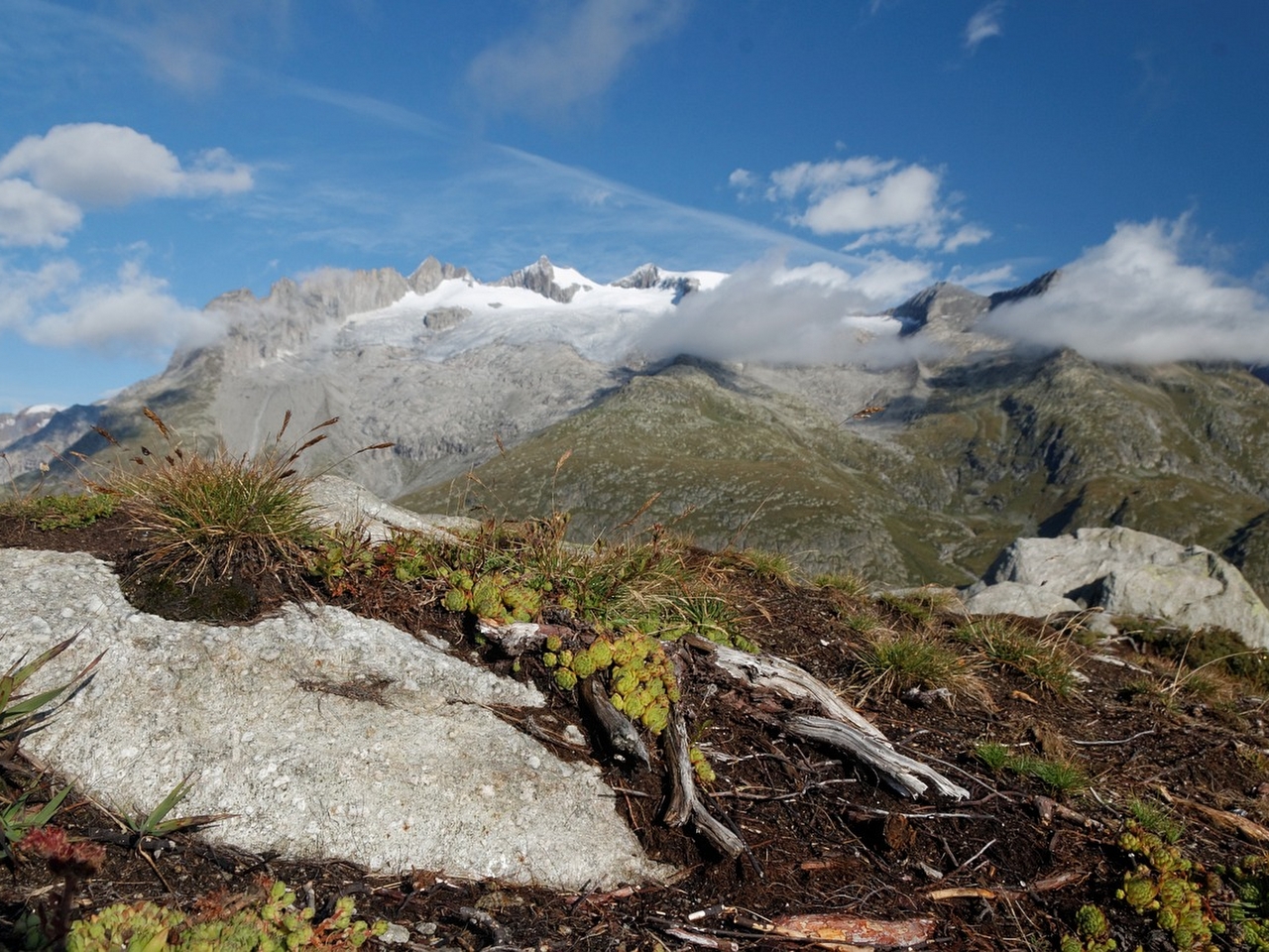 Aletsch buzulu Resim