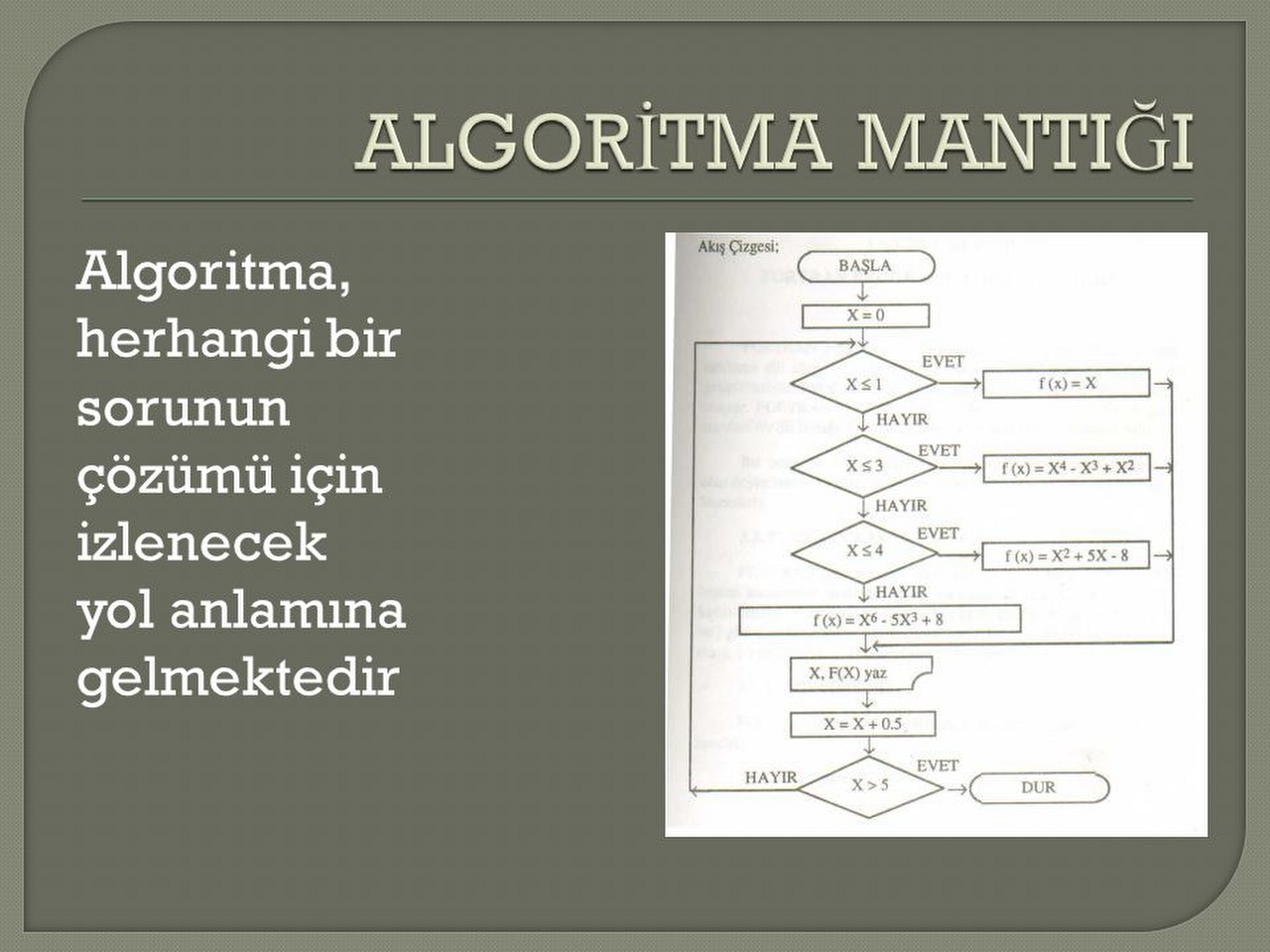 Algoritma Resimleri