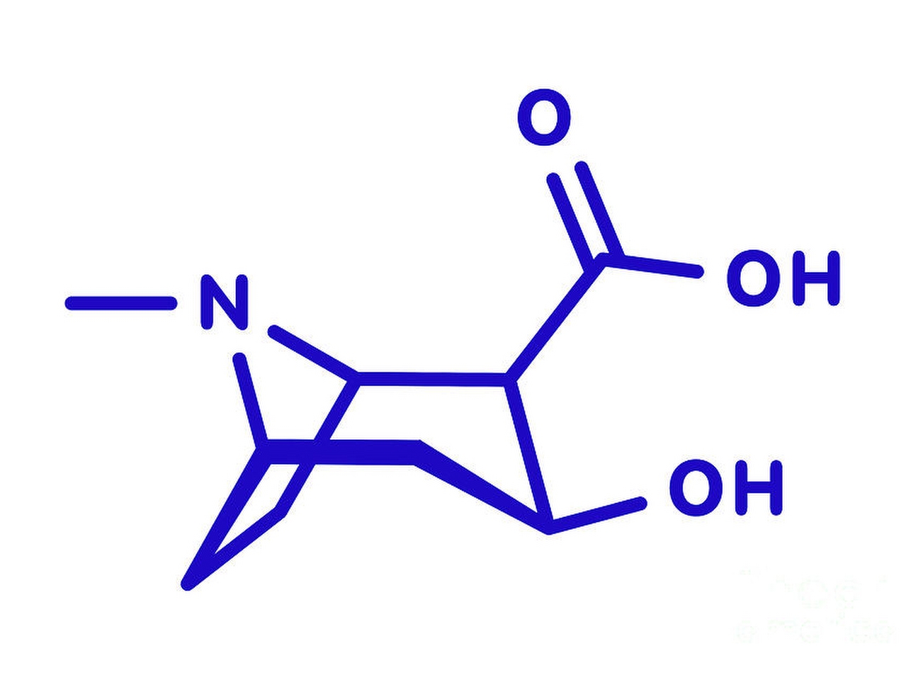 Alkaloyit Resim Alkaloyit Resim