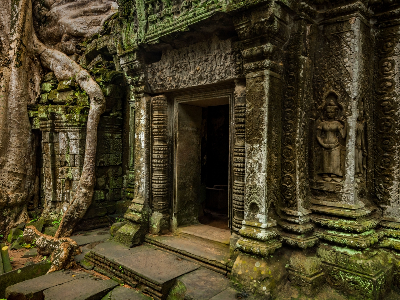 Angkor Arkeoloji Alanı Resimleri