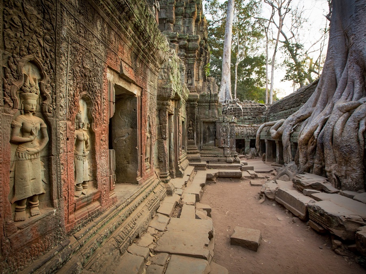 Angkor Arkeoloji Alanı Resim