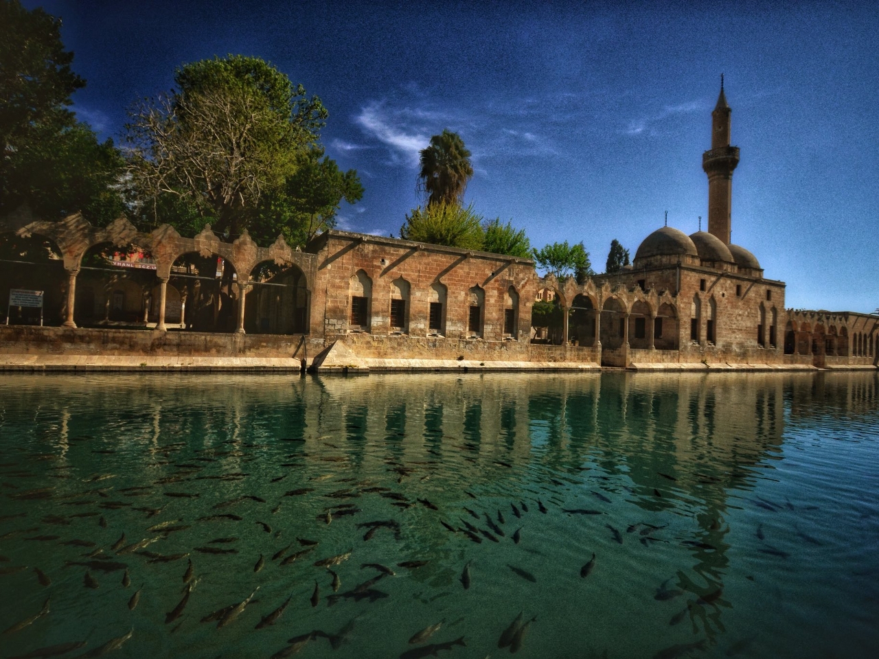 Şanlıurfa Resim