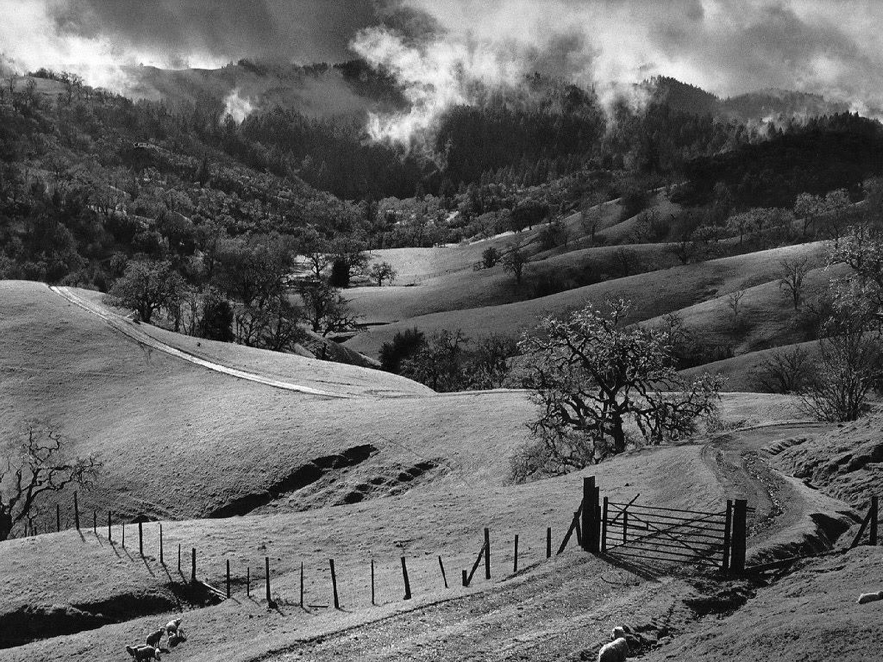 Ansel Adams Resimleri