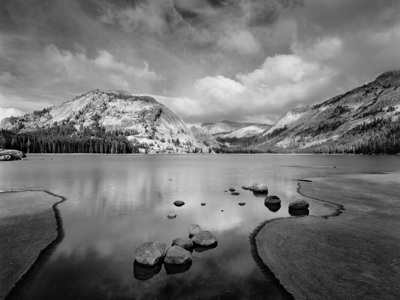 Ansel Adams Resim