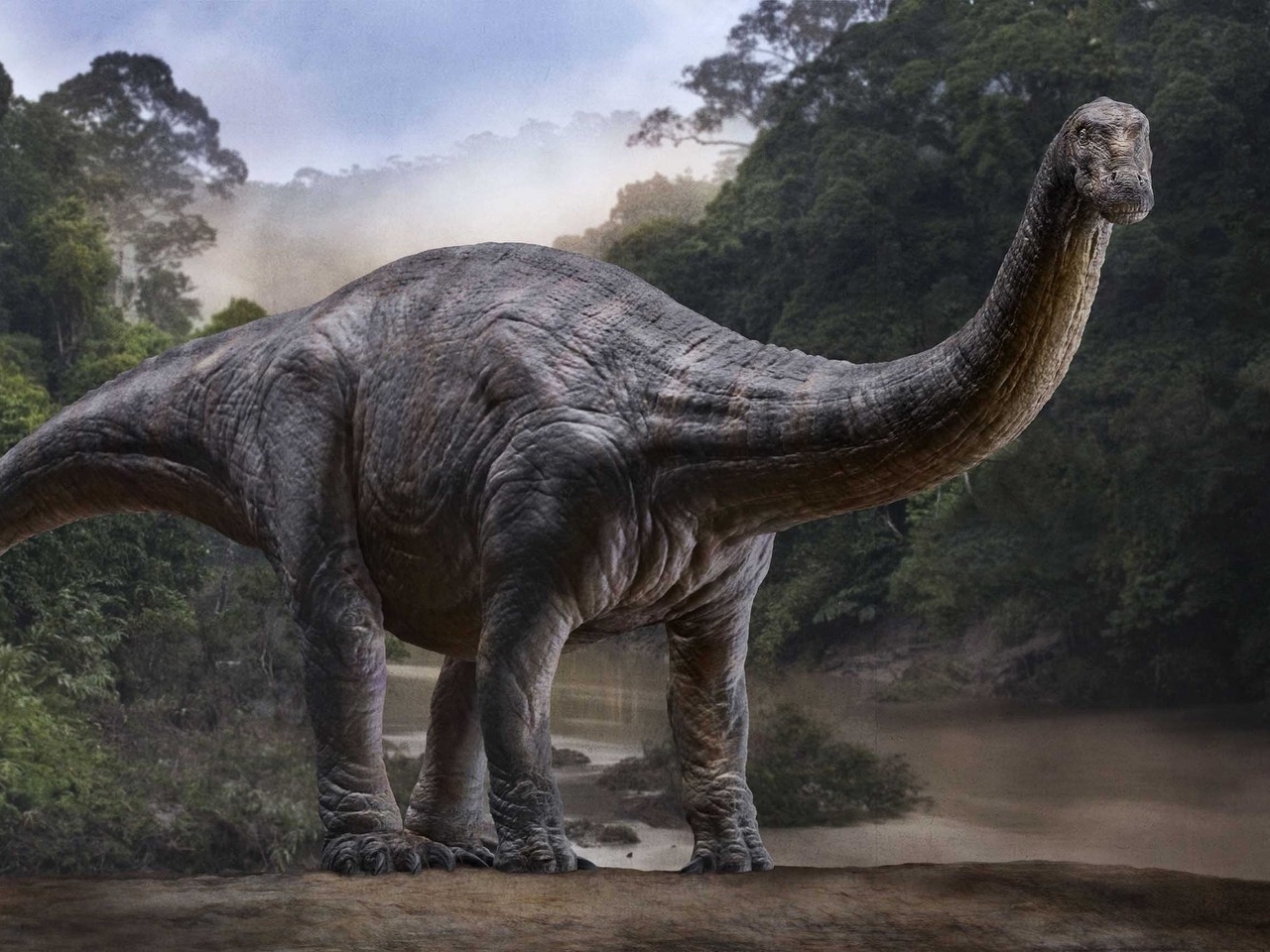 Apatosaurus Resim