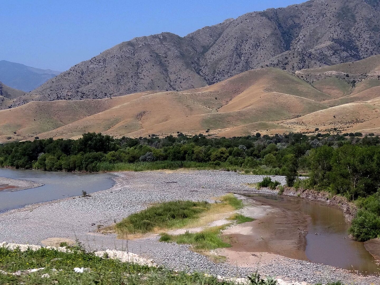 ARAS IRMAĞI Resimleri