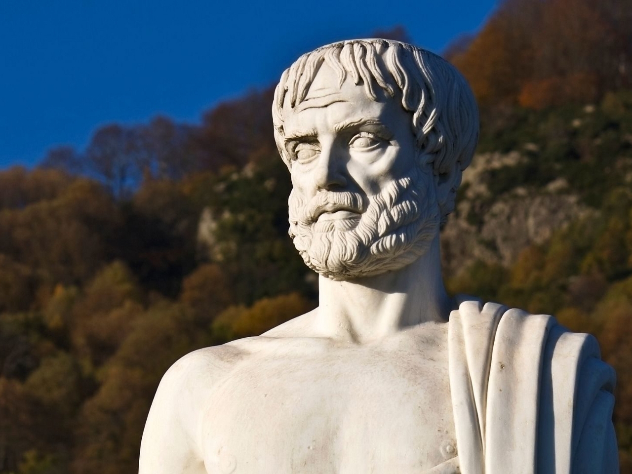 Aristoteles Resim Aristoteles Resim