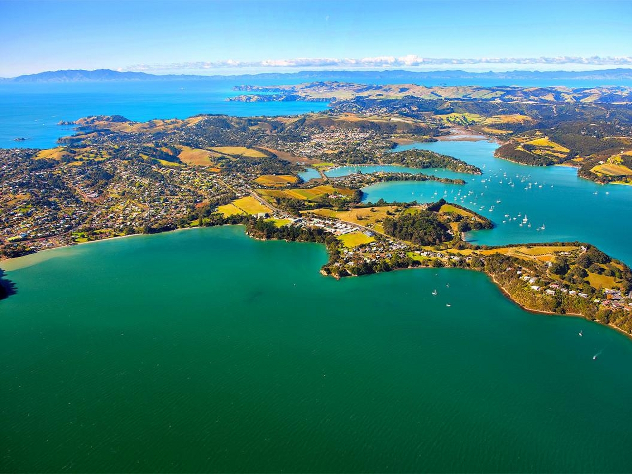 Auckland adaları Resimleri