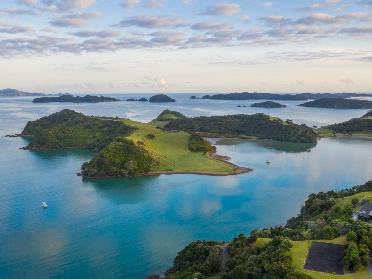 Auckland adaları Resim