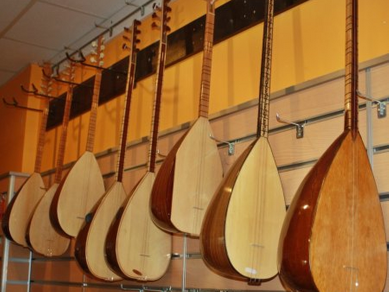 BAĞLAMA AİLESİ Resimleri BAĞLAMA AİLESİ Resimleri