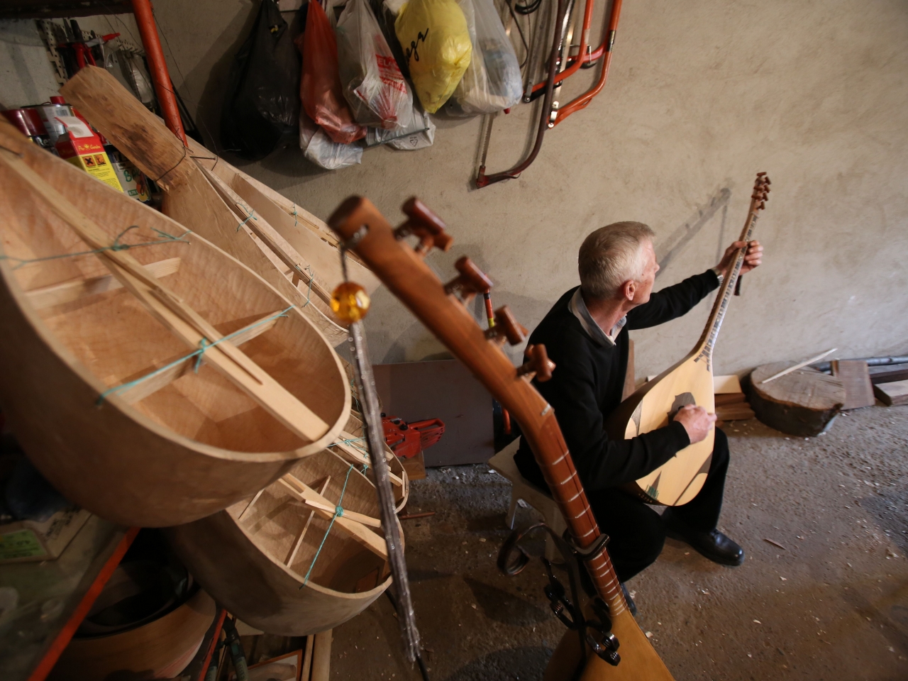 BAĞLAMA AİLESİ Resim BAĞLAMA AİLESİ Resim