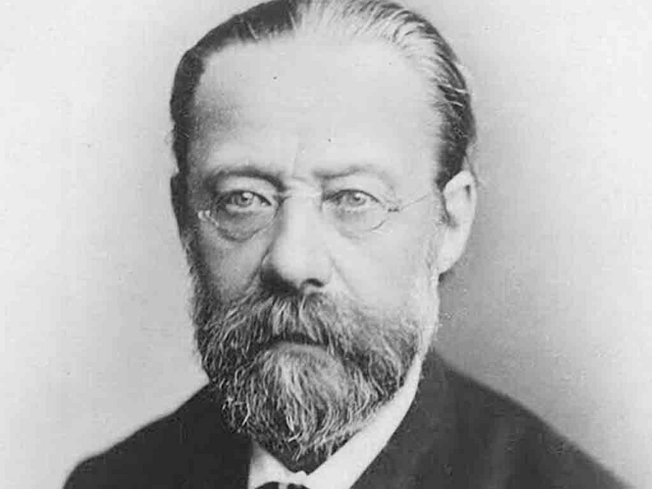 Bedrich Smetana Resim