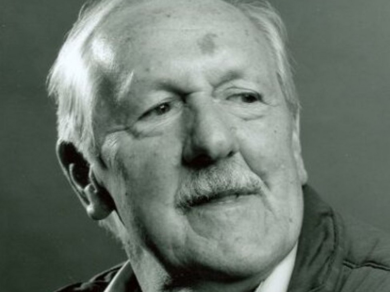 Brian W. Aldiss Resim