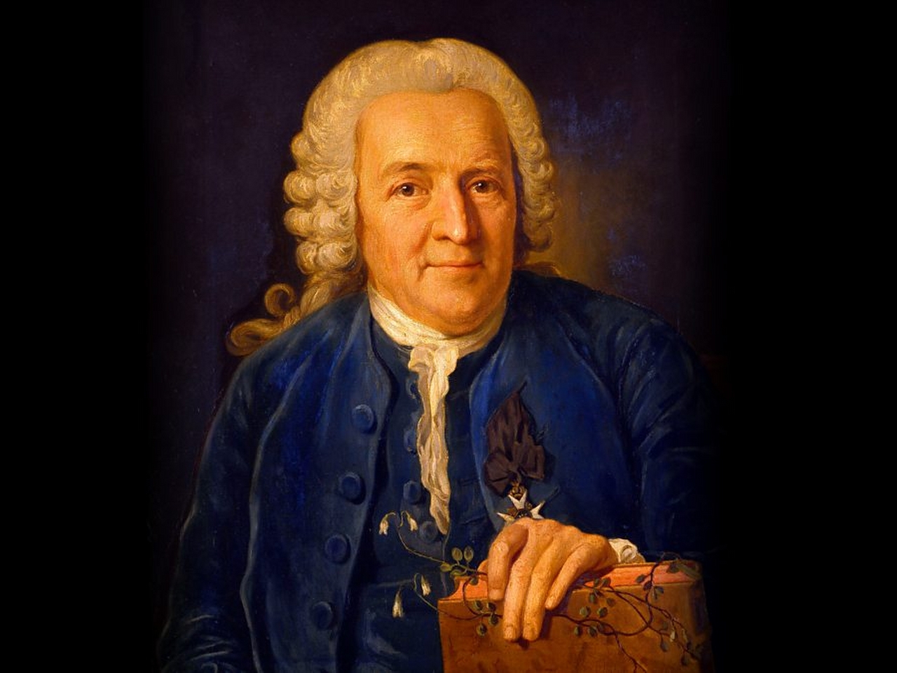 Carolus Linnaeus Resimleri Carolus Linnaeus Resimleri