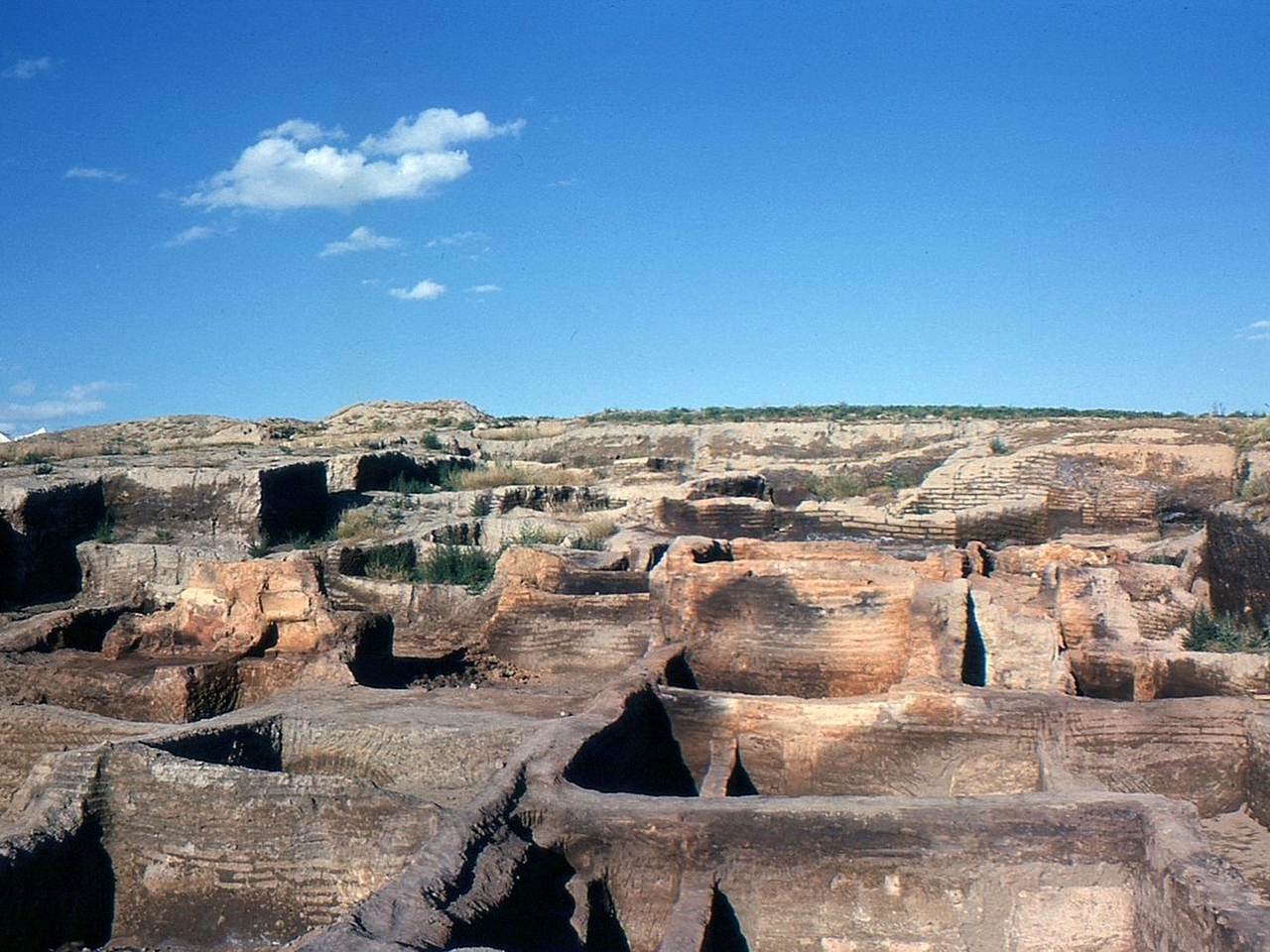 Çatalhöyük Resim