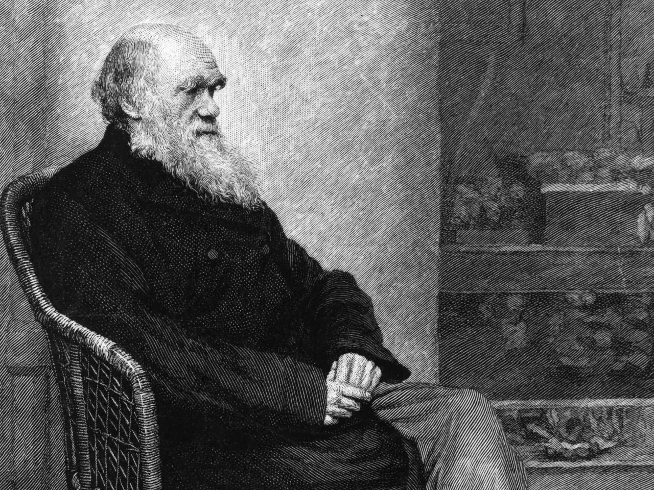 Charles Darwin Resimleri