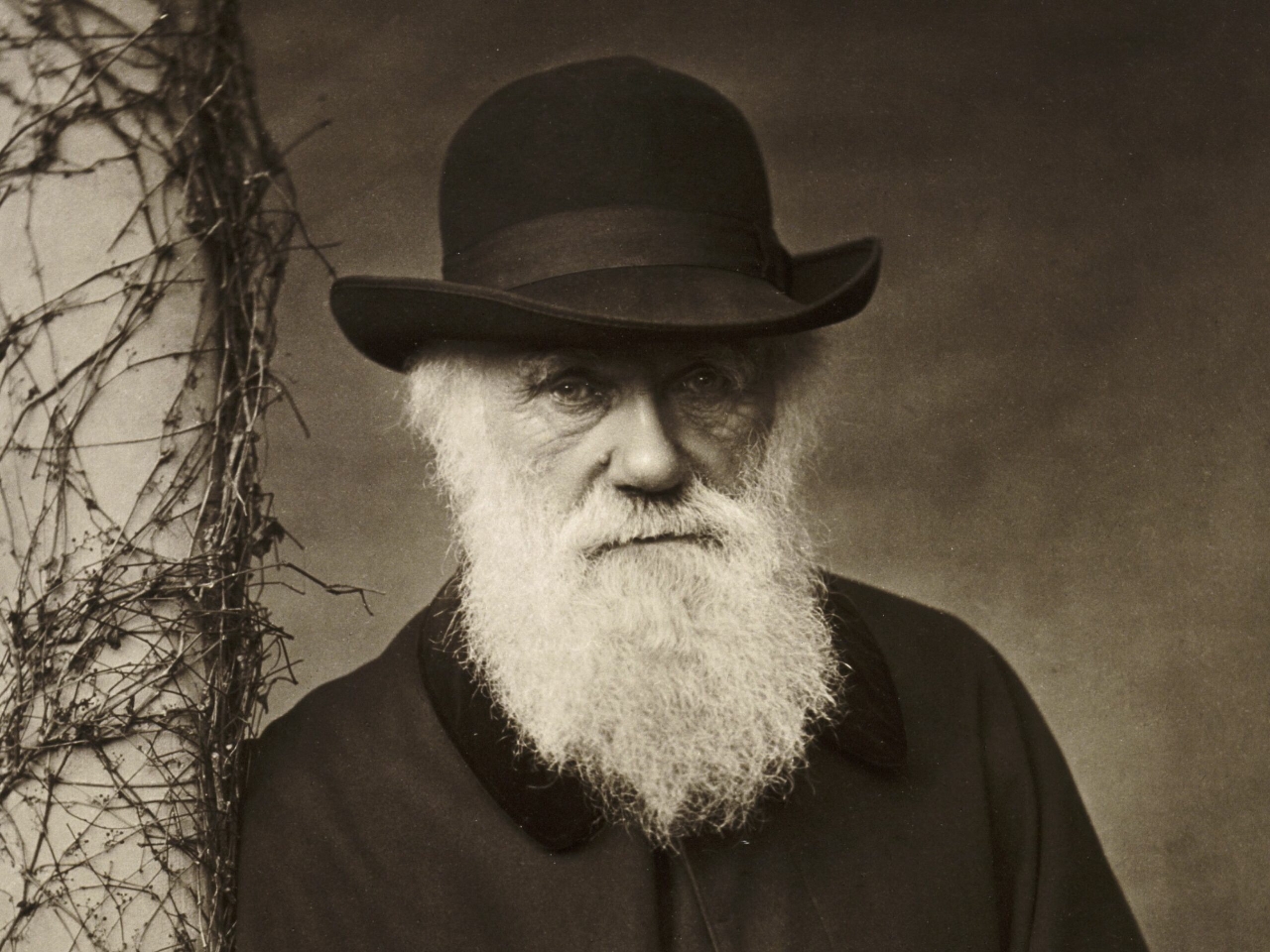 Charles Darwin Resim