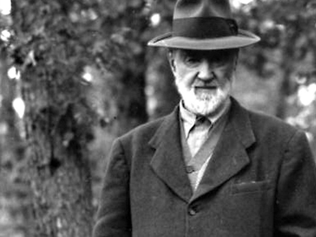 Charles Edward Ives Resim