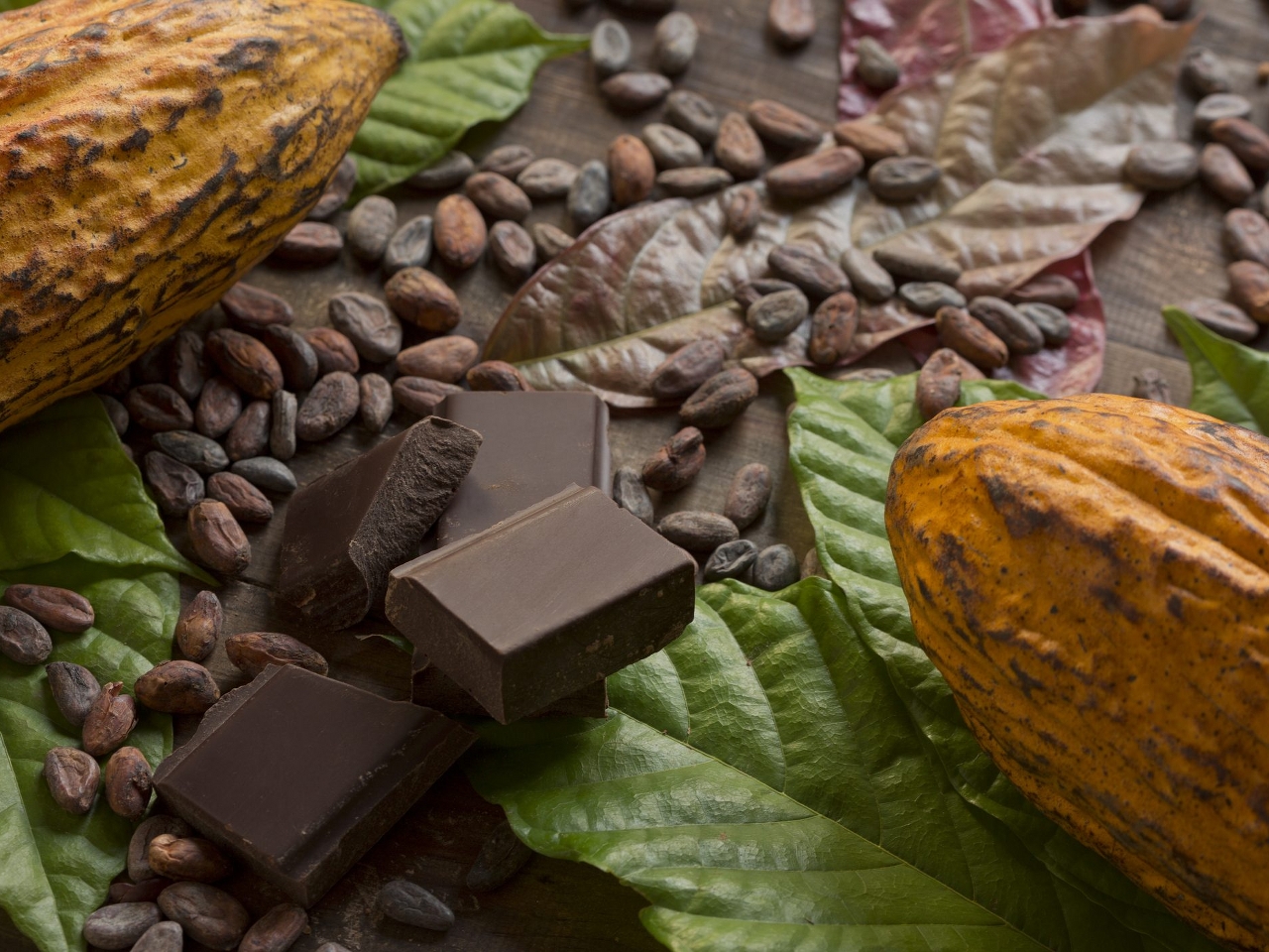 Çikolata Ve Kakao Resimleri