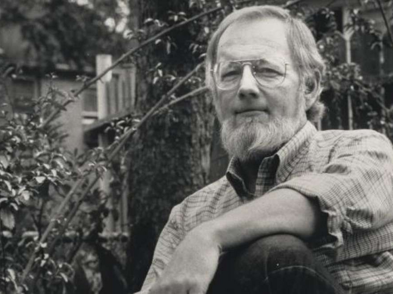 Donald Barthelme Resimleri