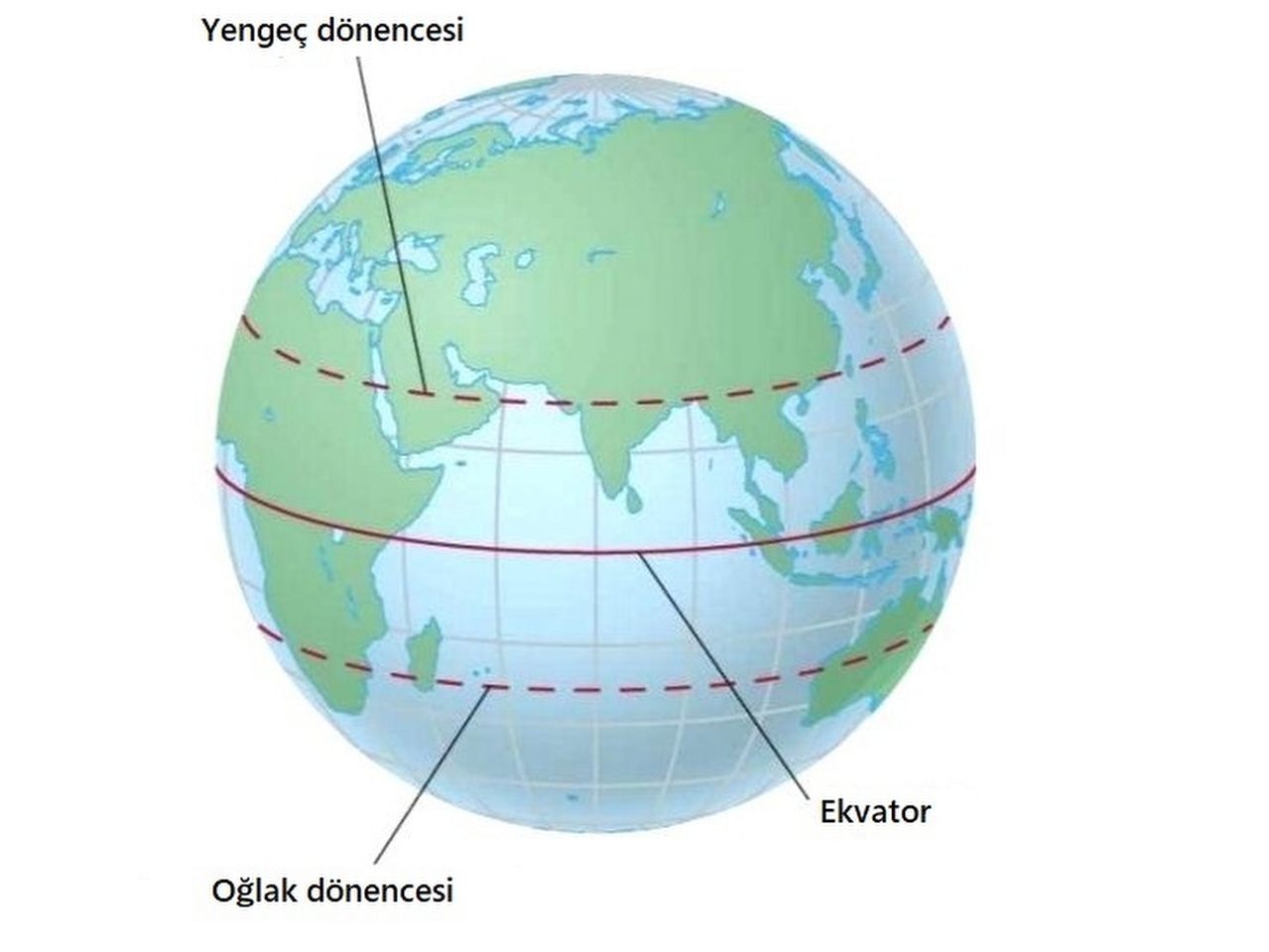 Dönenceler Resimleri