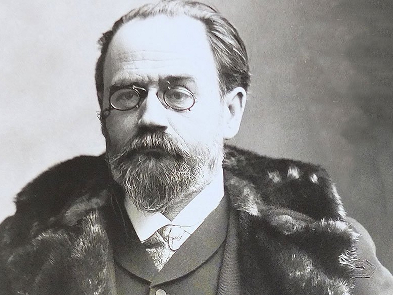 Emile Zola Resim