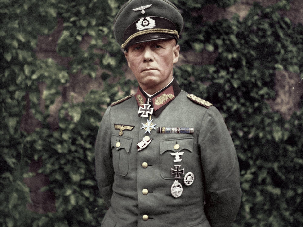 Erwin Rommel Resim