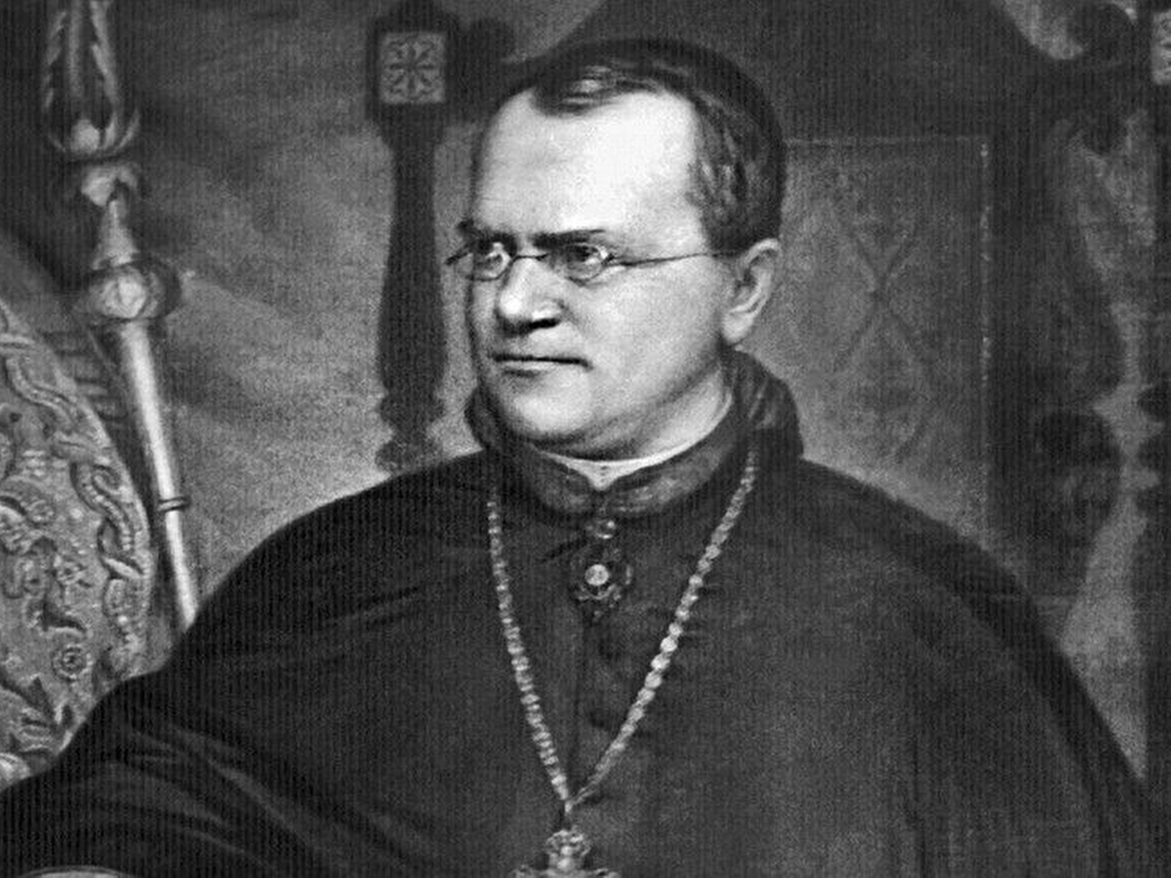 Gregor Johann Mendel Resim