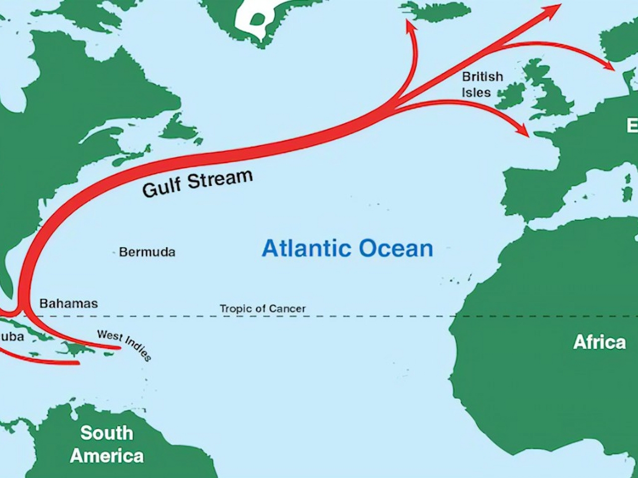 Gulf Stream Resimleri