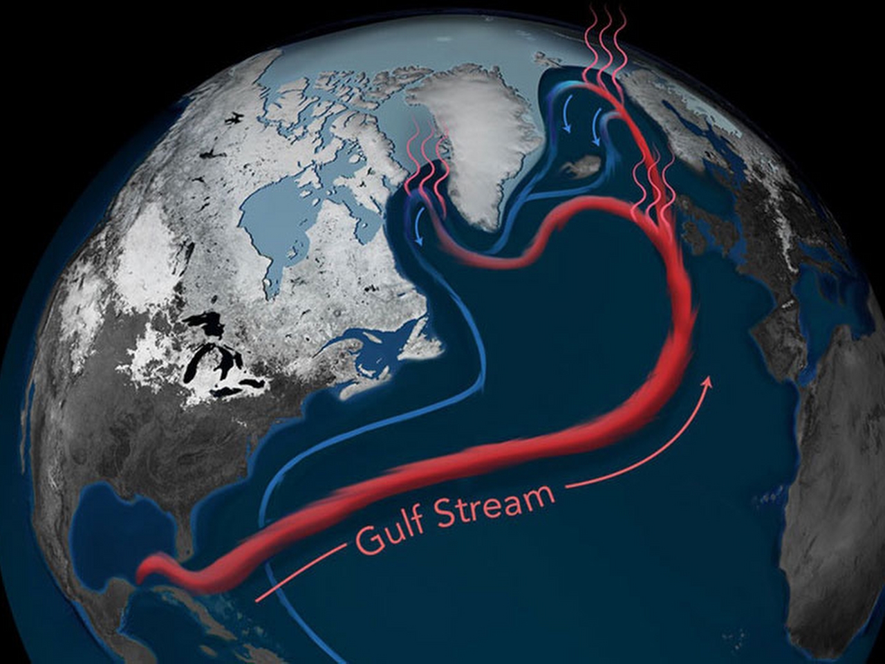 Gulf Stream Resim