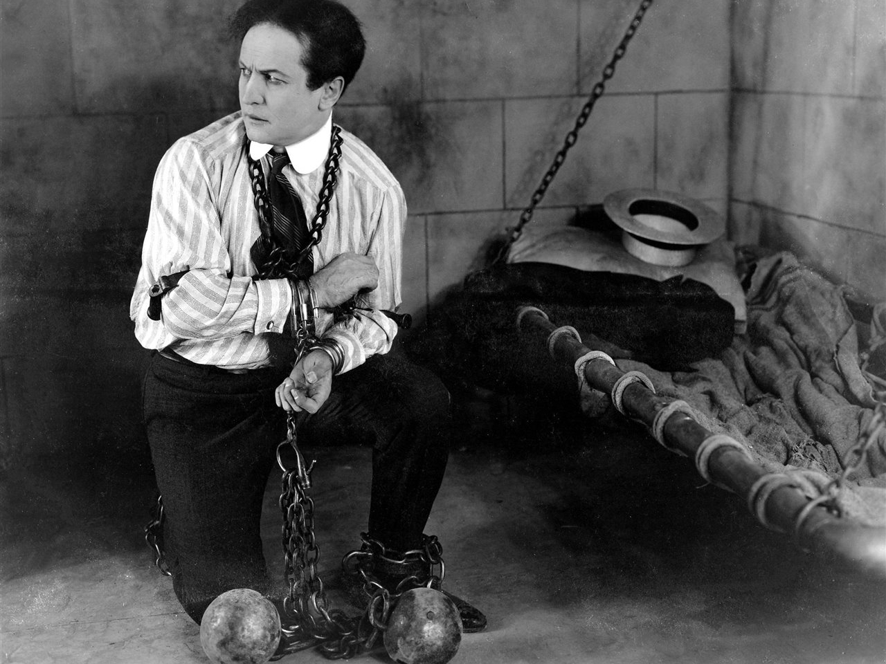 Harry Houdini Resim