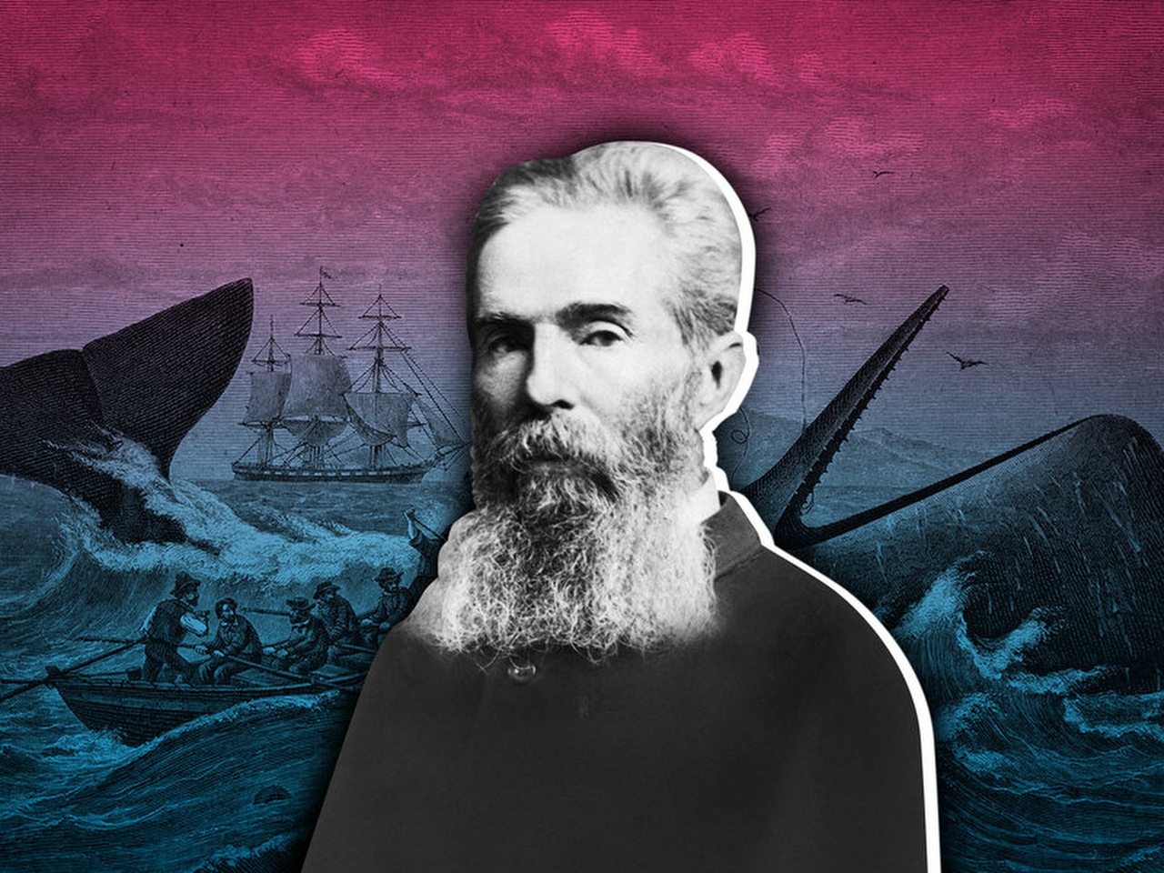 Herman Melville Resim