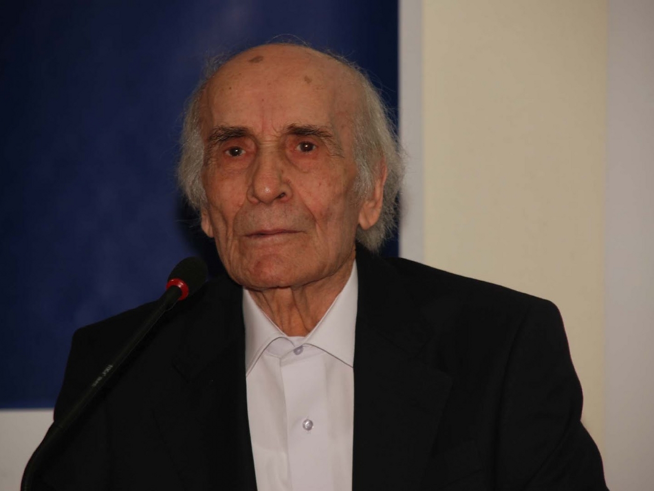 İbrahim Balaban Resim
