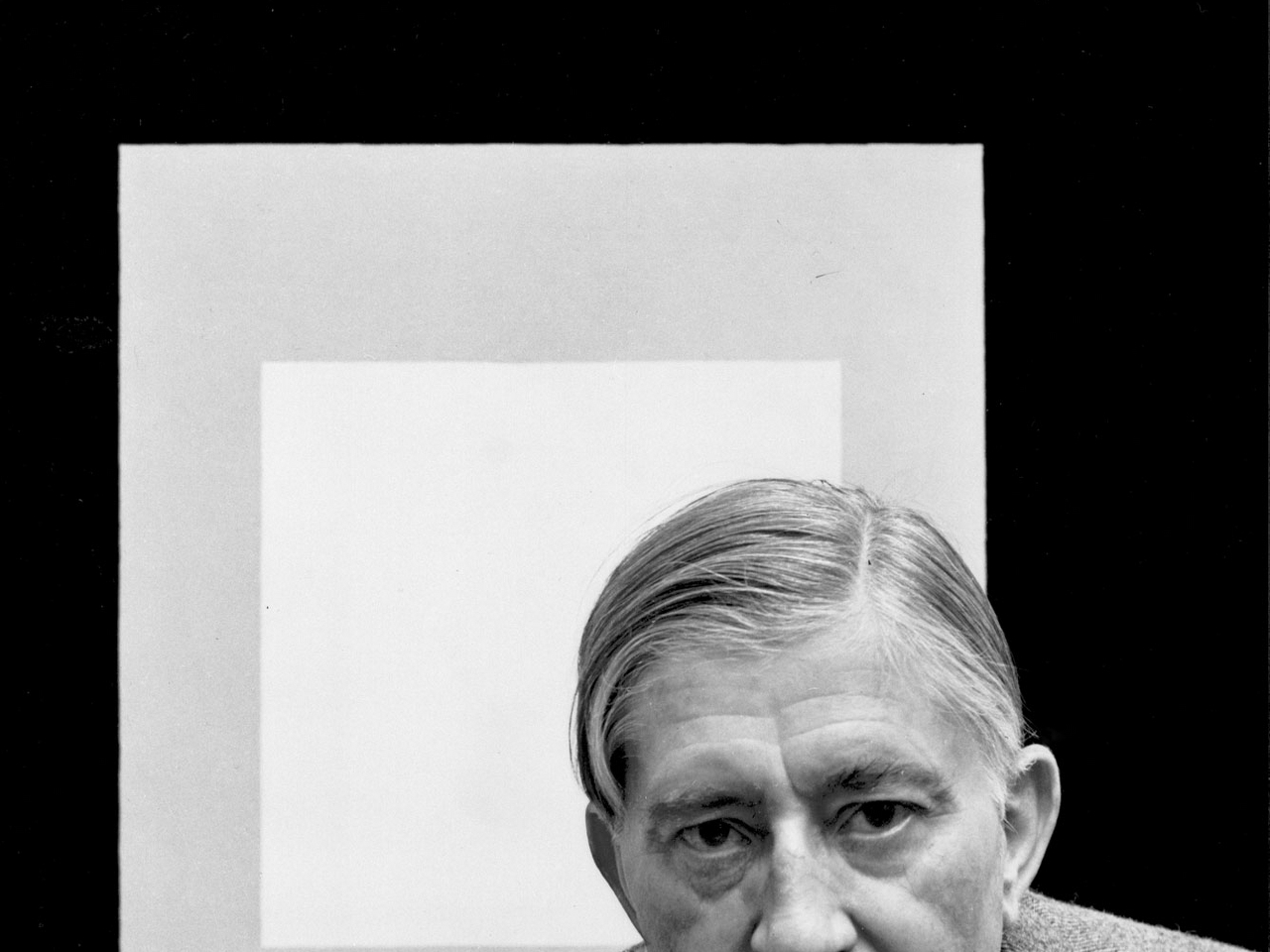 Josef Albers Resim