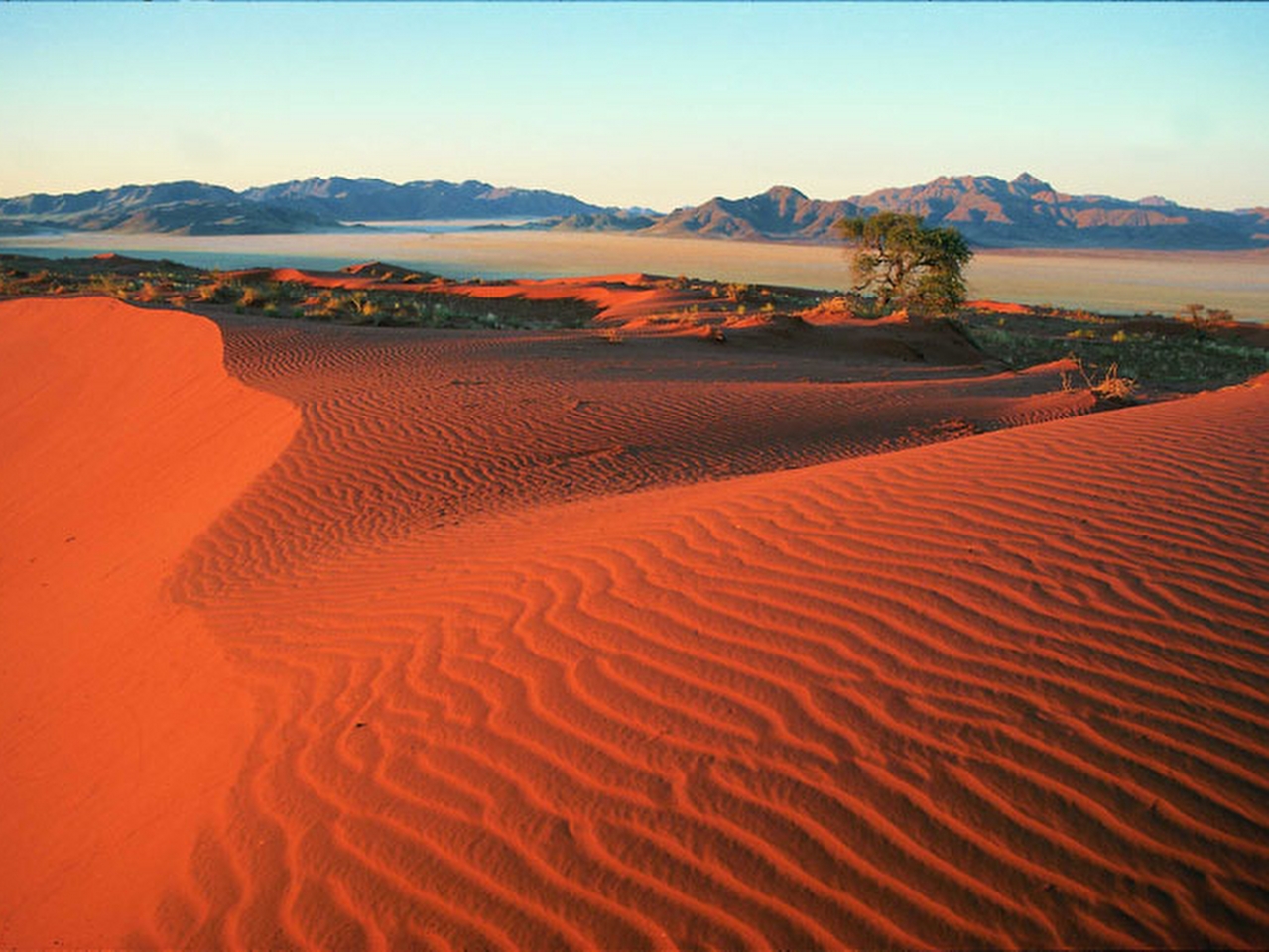 Kalahari Çölü Resimleri