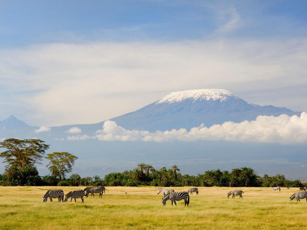 Kilimanjaro Resimleri