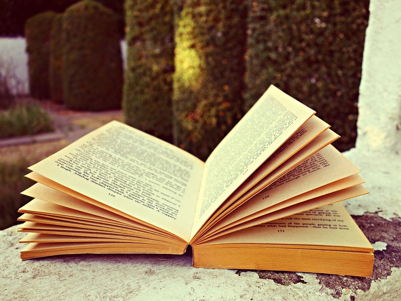 Kitap Resim Kitap Resim