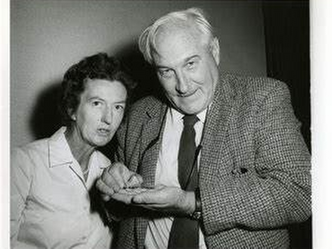 Leakey Ailesi Resimleri
